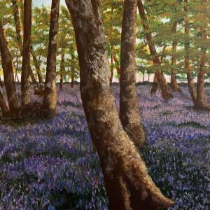 Bluebell wood Bluebell wood
