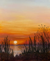 Sunset through the hedge